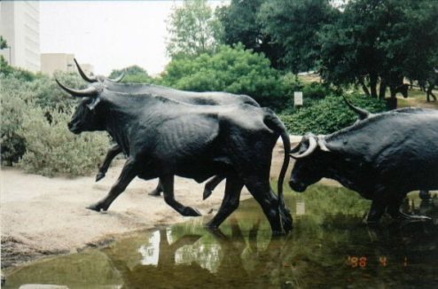 Longhorn 2
